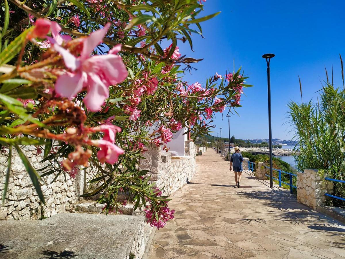 Marina Di Andrano - Alisso, Casa Vista Mare Con Parcheggio Privato E Wifi Villa Ngoại thất bức ảnh